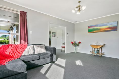 Photo of property in 217 Kane Street, Pirongia, 3802