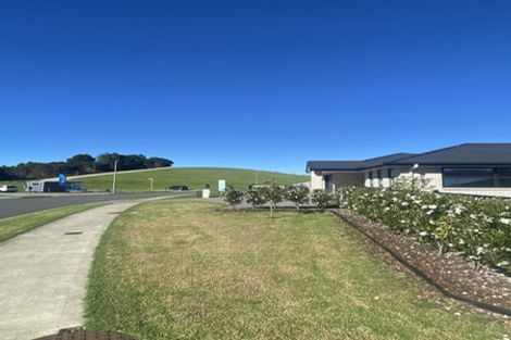 Photo of property in 31 Sycamore Drive, Sunnynook, Auckland, 0620