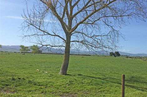 Photo of property in 382 Matatoki Road, Matatoki, Thames, 3578