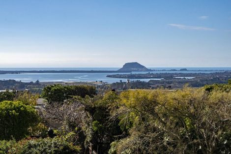 Photo of property in 265a Minden Road, Minden, Tauranga, 3176