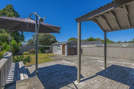 Photo of property in 61 Shamrock Street, Takaro, Palmerston North, 4412