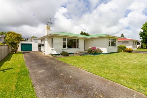 Photo of property in 20 Henare Street, West End, Palmerston North, 4412