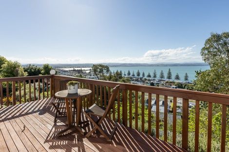 Photo of property in 14 Bay View Road, Bluff Hill, Napier, 4110