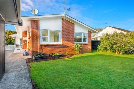 Photo of property in 42 Storey Avenue, Forest Lake, Hamilton, 3200