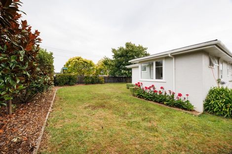 Photo of property in 76 Salisbury Street, Ashhurst, 4810