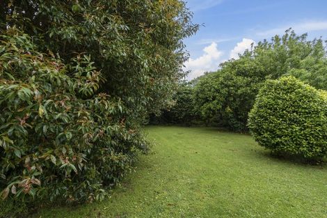 Photo of property in 46b Cowling Road, Hurdon, New Plymouth, 4310