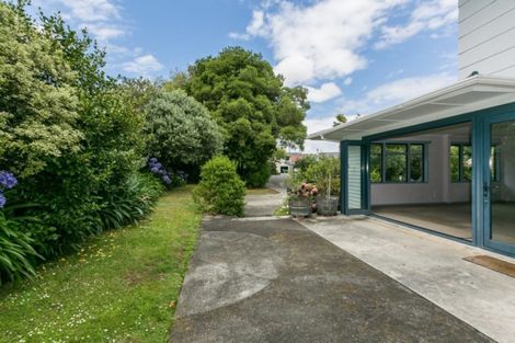 Photo of property in 21 Tanner Street, Havelock North, 4130