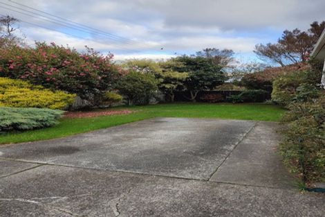 Photo of property in 31 Nile Street, Waterloo, Lower Hutt, 5011
