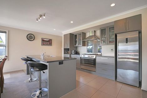 Photo of property in 3 Ludlow Drive, Huntingdon, Ashburton, 7774