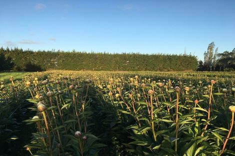 Photo of property in 63 Coopers Road, Leeston, 7682