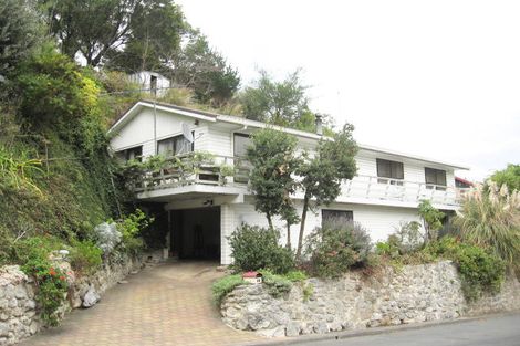 Photo of property in 51 Faraday Street, Hospital Hill, Napier, 4110