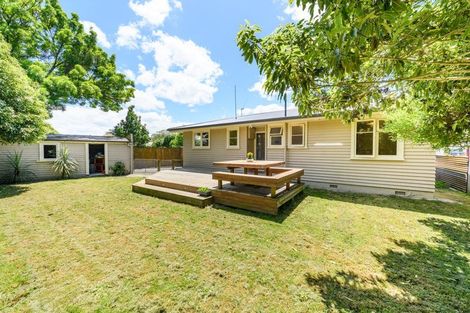 Photo of property in 26 Snowdon Avenue, Terrace End, Palmerston North, 4410