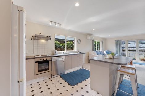 Photo of property in 38 Duke Street, Levin, 5510