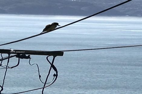 Photo of property in 111 Te Anau Road, Hataitai, Wellington, 6021