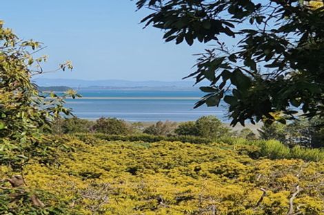 Photo of property in 229 Athenree Road, Athenree, Waihi Beach, 3177