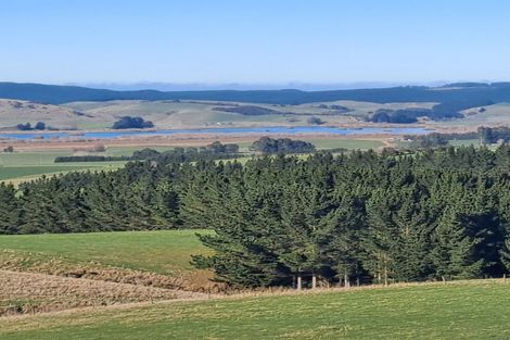 Photo of property in 31 Birss Road, Balclutha, 9272