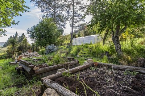 Photo of property in 1228 Greta Road, Greta Valley, 7387