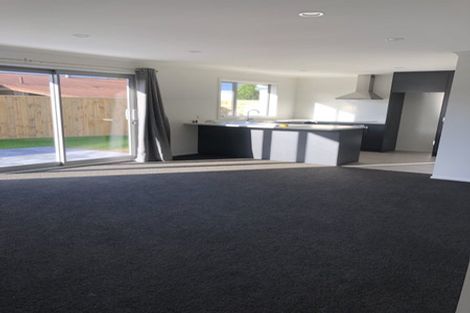 Photo of property in 155 Howick Road, Witherlea, Blenheim, 7201