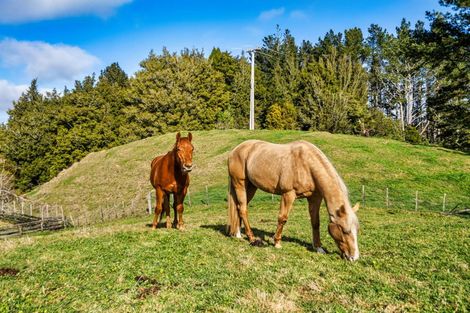 Photo of property in 1095 Taumata Road, Omanawa, Tauranga, 3173