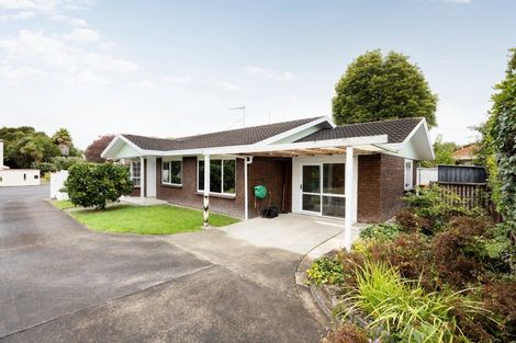 Photo of property in 111a Clarkin Road, Fairfield, Hamilton, 3214