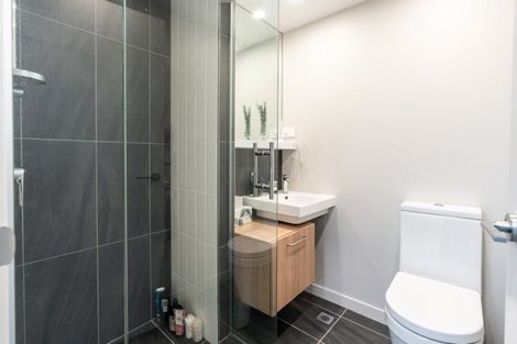 Photo of property in Vsp South, 405/166 Victoria Street, Te Aro, Wellington, 6011