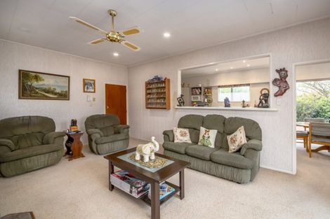 Photo of property in 37 Fergusson Street, Solway, Masterton, 5810