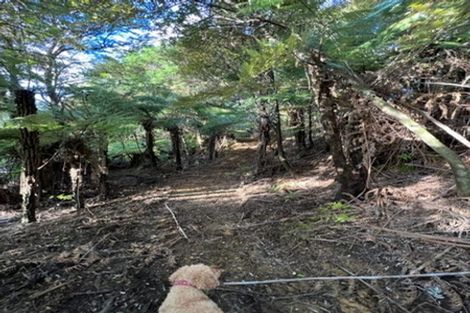 Photo of property in 211 Krippner Road, Puhoi, Warkworth, 0994