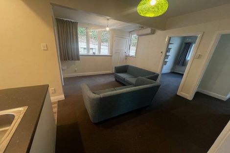 Photo of property in 217 Aro Street, Aro Valley, Wellington, 6021