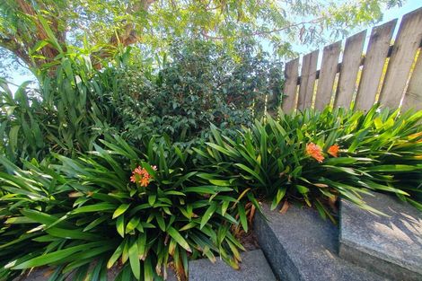 Photo of property in 117 Edward Street, Thames, 3500