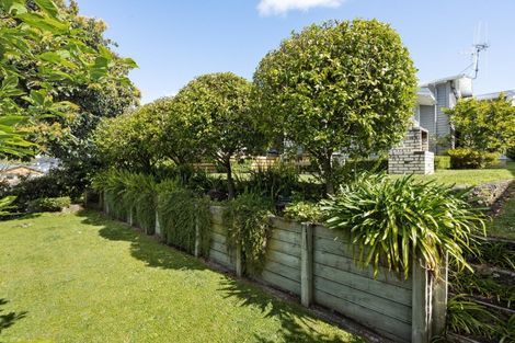 Photo of property in 4 Dyer Street, Whitiora, Hamilton, 3200