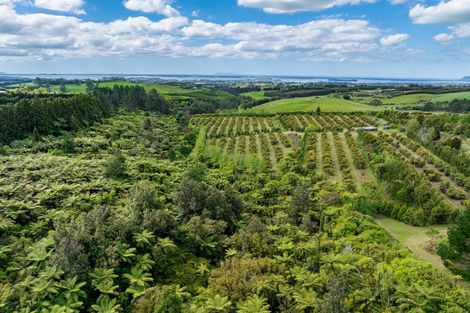 Photo of property in 71c Laurel Drive, Whakamarama, Tauranga, 3179