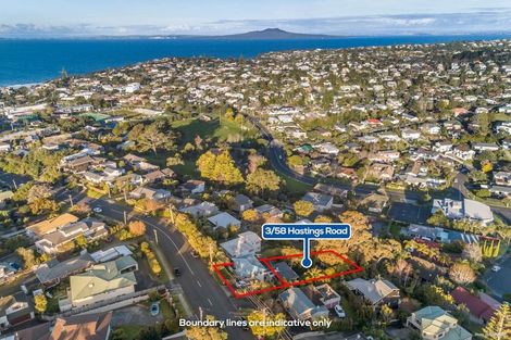 Photo of property in 3/58 Hastings Road, Mairangi Bay, Auckland, 0630