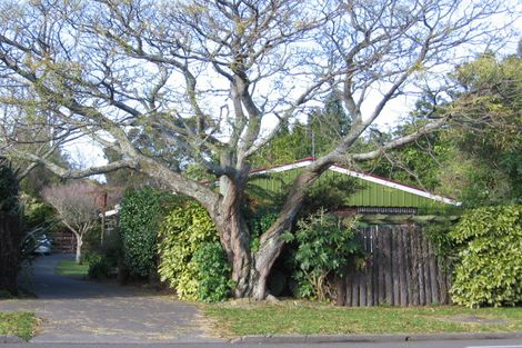 Photo of property in 17 Centennial Drive, Hokowhitu, Palmerston North, 4410