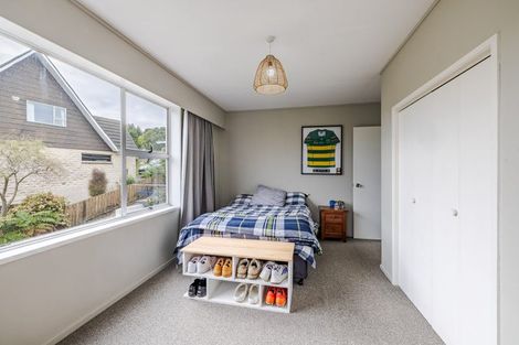 Photo of property in 33 Elliffe Place, Shiel Hill, Dunedin, 9013