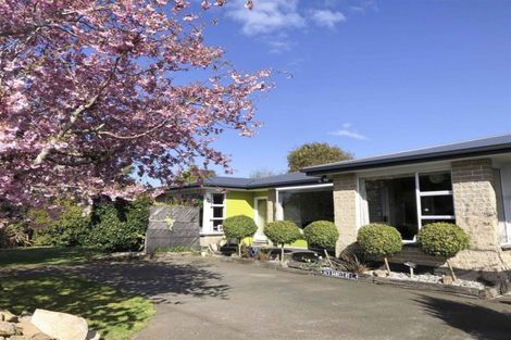 Photo of property in 251 Talbot Street, Hargest, Invercargill, 9810