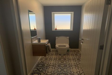 Photo of property in 40 Craig Thompson Drive, Lincoln, 7608