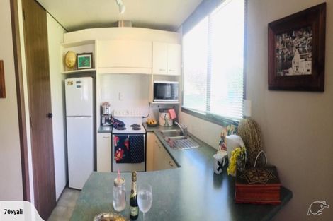 Photo of property in 15 Ness Street, Naseby, 9396