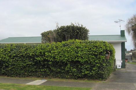 Photo of property in 55 Read Street, Levin, 5510