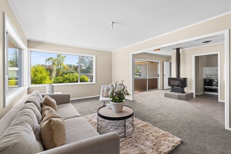 Photo of property in 19 Mangarau Crescent, Havelock North, 4130