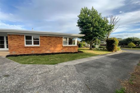 Photo of property in 115 Fitzroy Avenue, Fitzroy, Hamilton, 3206