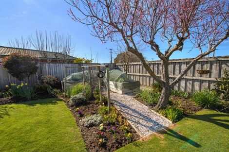 Photo of property in 8 Landau Place, Redwoodtown, Blenheim, 7201