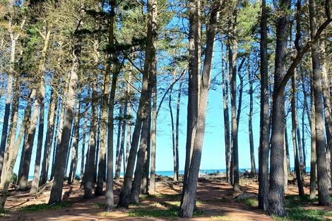 Photo of property in 10 Chamberlain Avenue, Amberley, 7481