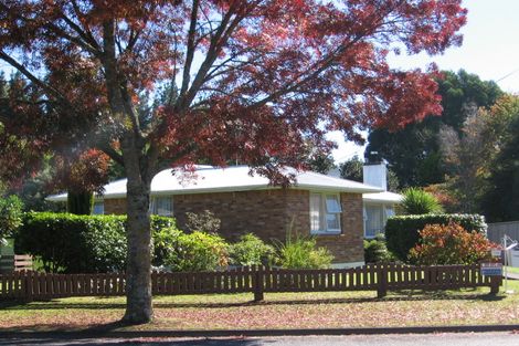 Photo of property in 149 Arapuni Street, Putaruru, 3411