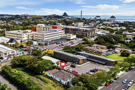 Photo of property in 31 David Street, Westown, New Plymouth, 4310