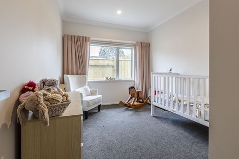 Photo of property in 31 Monarch Drive, Ashhurst, 4810