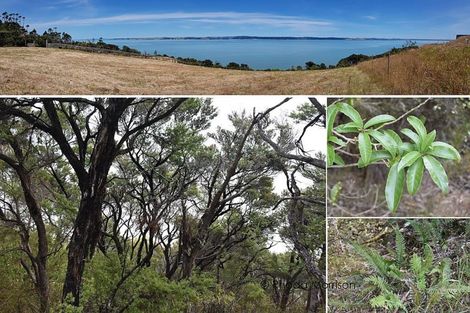 Photo of property in 24 Te Wairoa Lane, Tinopai, 0593