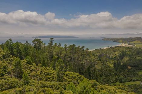 Photo of property in 212 Black Jack Road, Kuaotunu, Whitianga, 3592