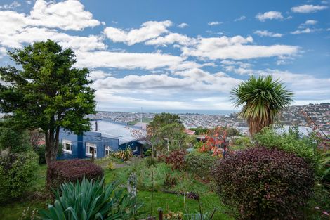 Photo of property in 63 Forfar Street, Clyde Hill, Dunedin, 9011