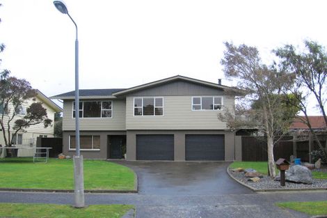 Photo of property in 8 Opawa Place, Terrace End, Palmerston North, 4410