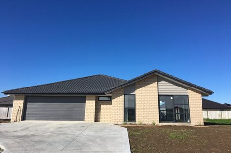 Photo of property in 217 Borman Road, Rototuna North, Hamilton, 3210